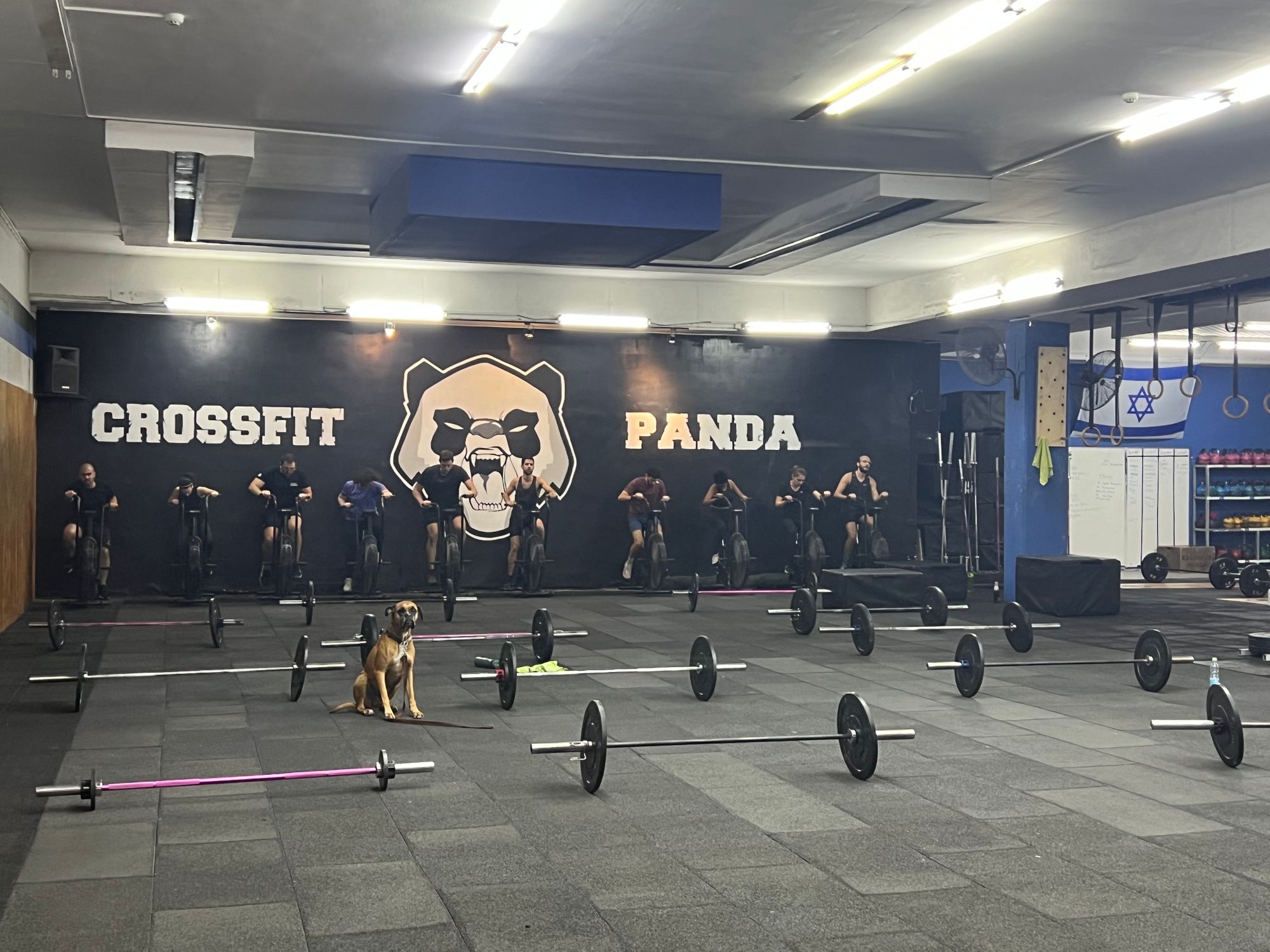 CrossFit   - 220623